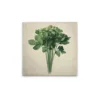 Crème, beige, vert