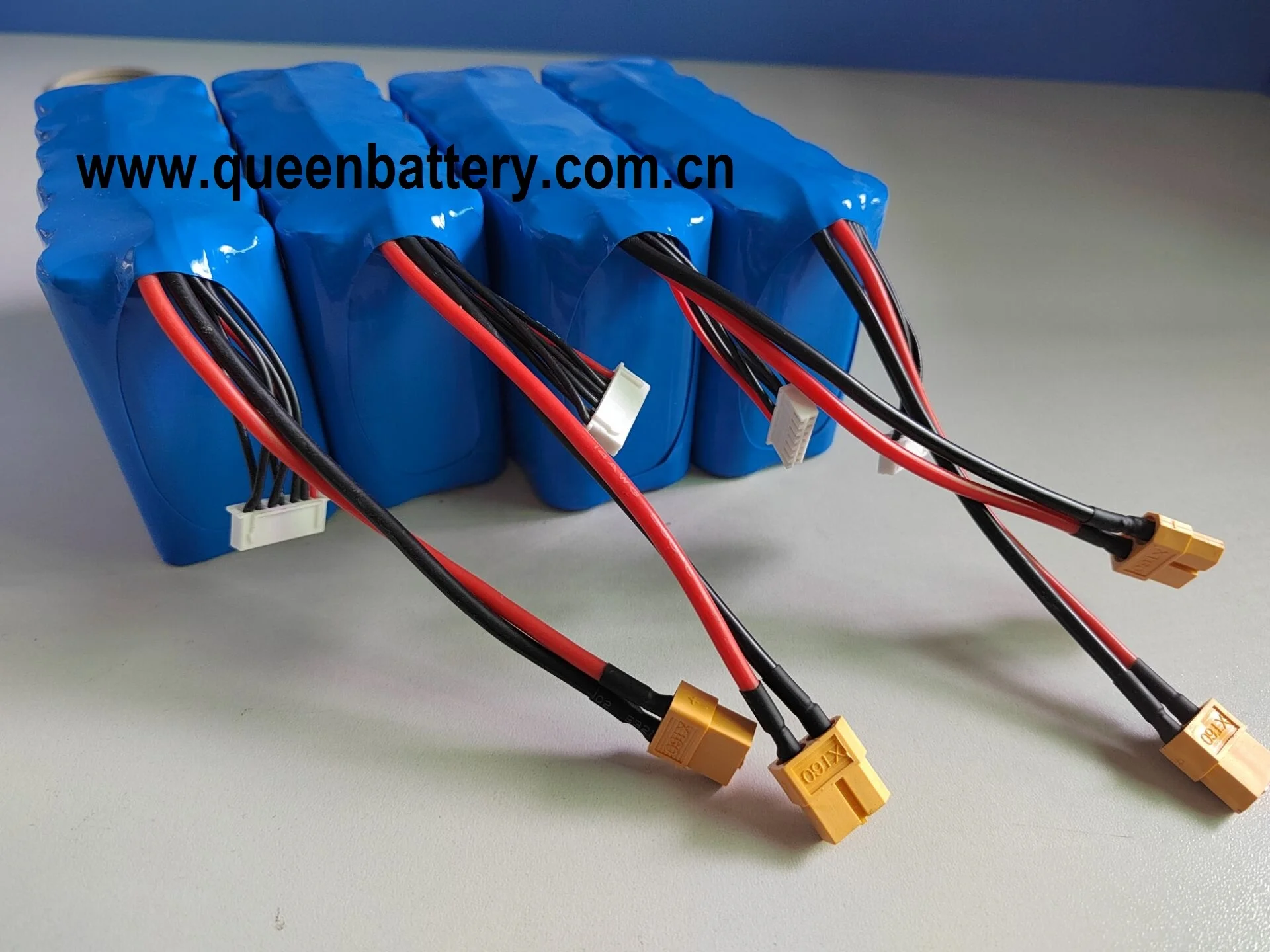 6s2p 22v10ah 6s 21.6v 22.2v 21700 50e M50 M50t M50lt Inr21700-50e ...