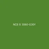 เขียว [3060-G30Y NCS]
