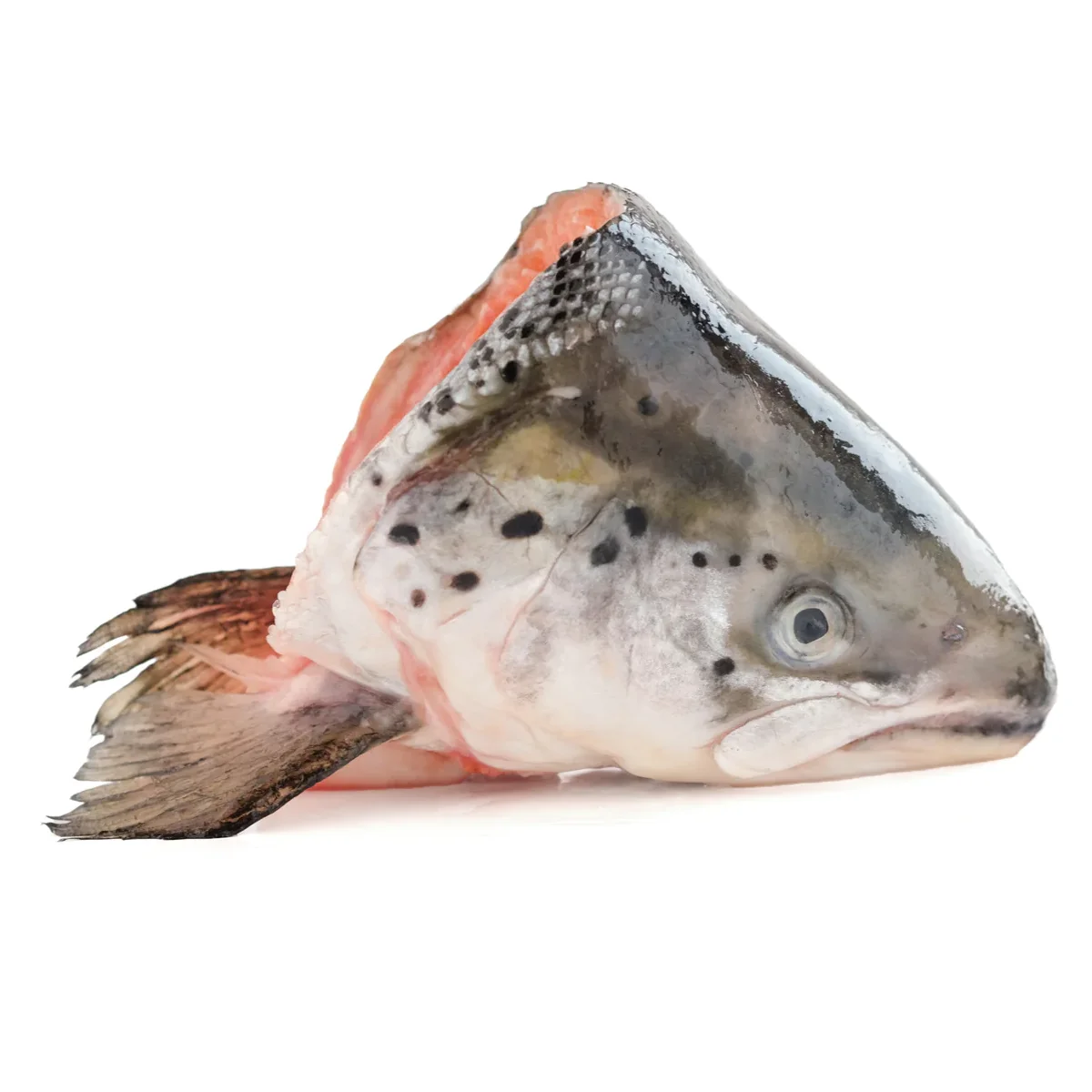Pure Quality Frozen Salmon Fish Heads 450gr+ France Supplier Bulk