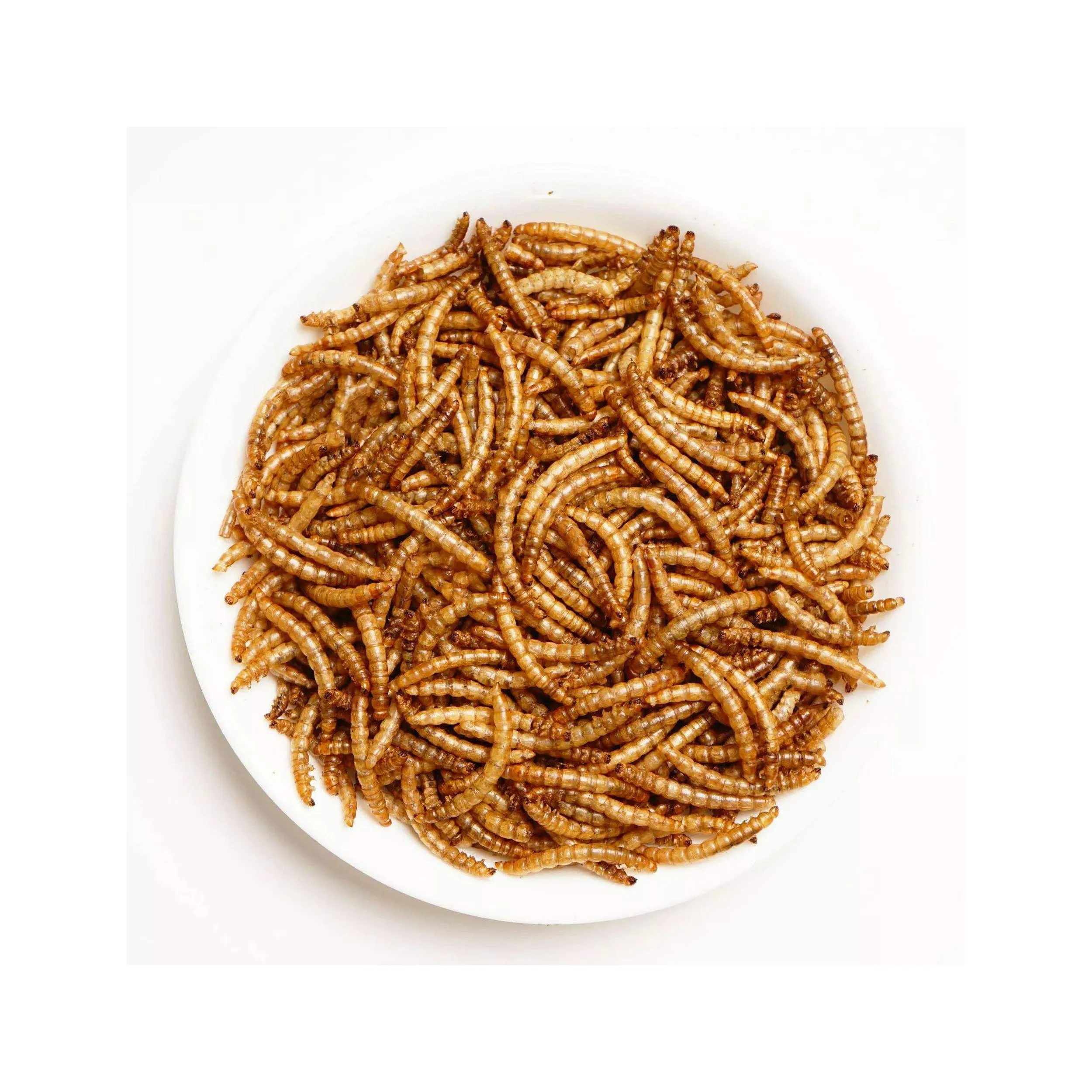 Dried Mealworm For Bird,Yellow Dried Mealworms Yellow Wholesale High
