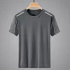 Snow Mountain Gray