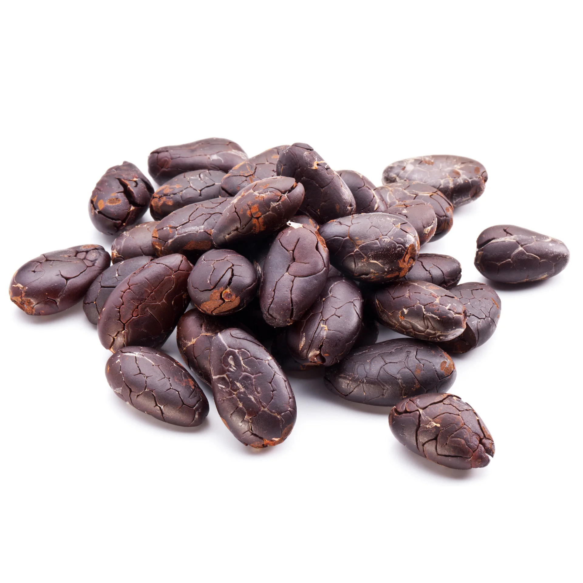 Cheap Price Supplier From Germany Cocoa Beans Ariba Cacao Beans Dried ...