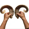 same as image