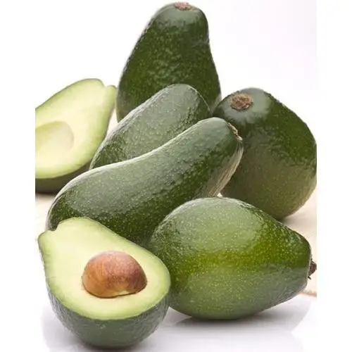 Premium Mature Fresh Avocado-Top Grade 100% Natural Thailand Origin High Quality Best Price Directly From Producers
