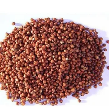 Best Prices on Organic IQF Frozen Red and White Sorghum Flour Grains with 24 Month Shelf Life From France