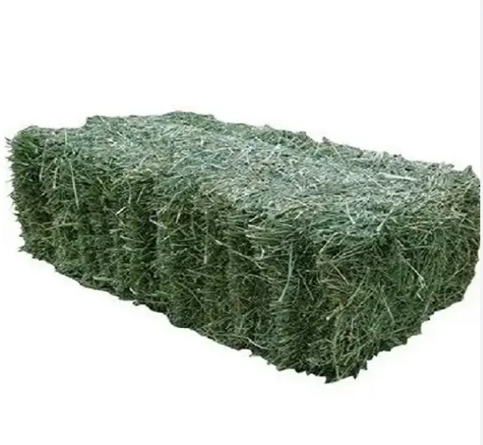 Bulk ALFAFA HAY READY for SUPPLY/ Alfalfa hay with High Protein for Animal Feeding in Bulk