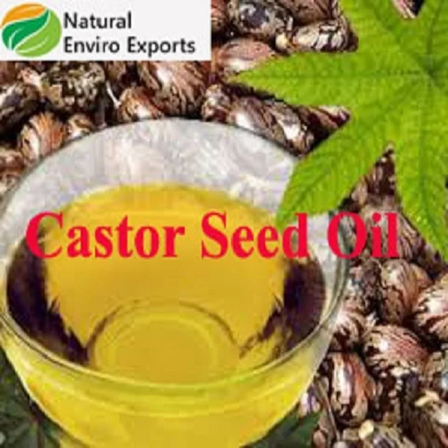 Wholesale Best Quality Castor Oil / Seed for Multipurpose
