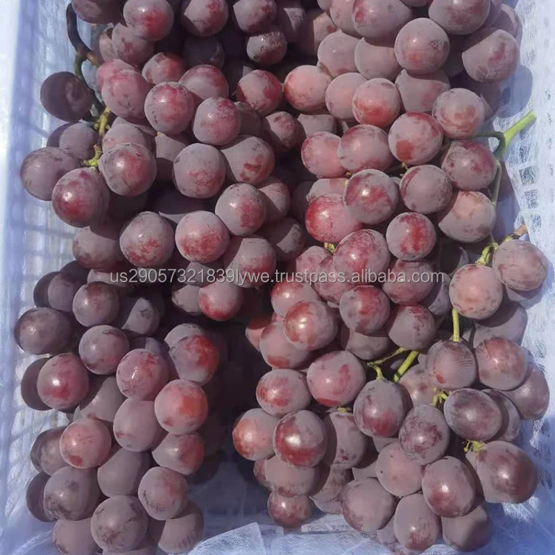 Fresh Fruits New Harvest New Crop Fresh Grapes Seedless Green,Crimson