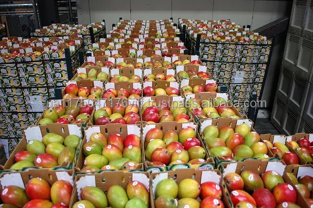 Mango-warehouse.jpg