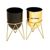 Gold & black