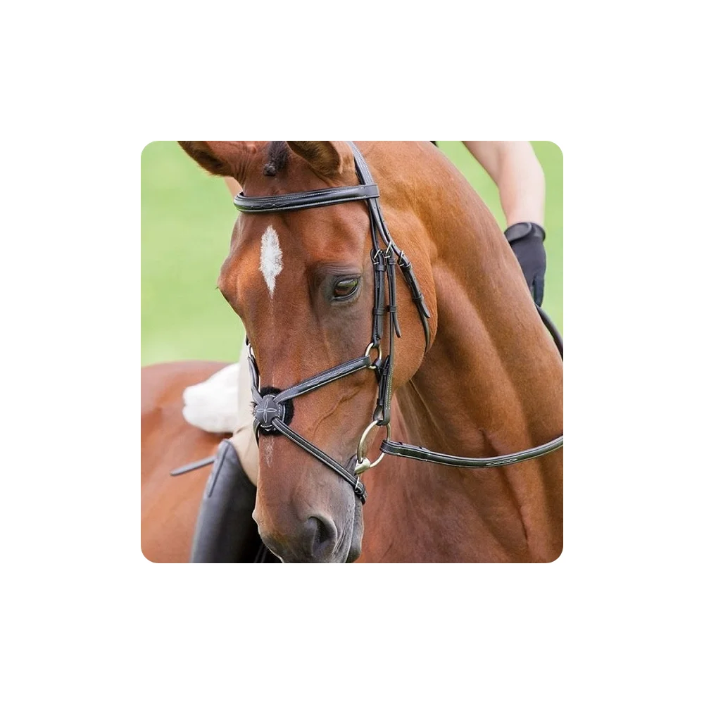 English Bridles,Horse Riding English Bridle,Wholesale Horse Equipment