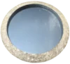 White pearl shell