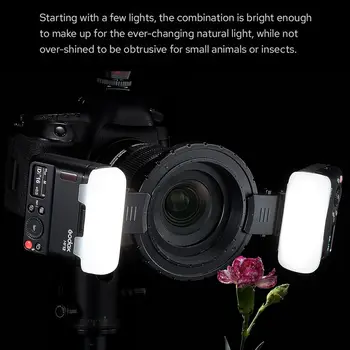 Godox MF12 MF12-K2 Macro Flash Off-Camera TTL Flash Speedlite 12W, 2.4G Wireless Control,TTL/M Mode,Built-in 3.7V/6.29W Lithium detail image