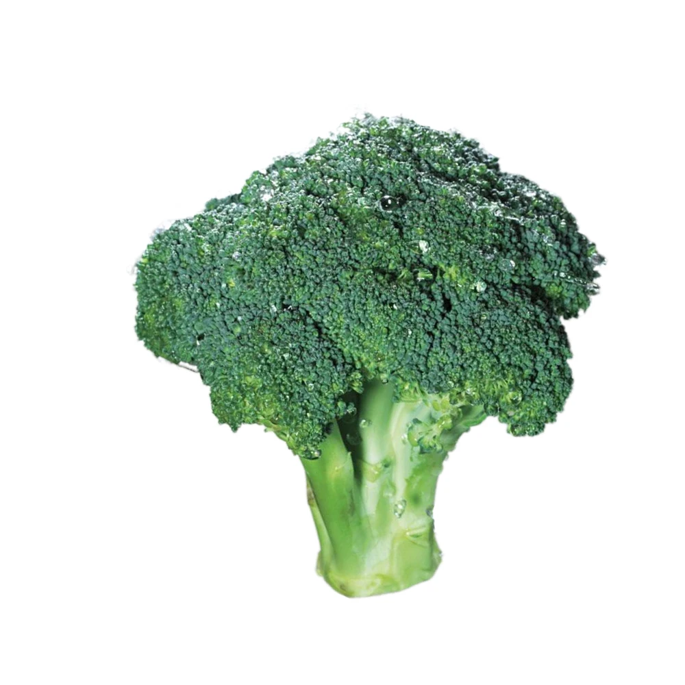 Iqf Frozen Vegetable High Quality Cleaning Fresh Broccoli - Buy Frozen ...