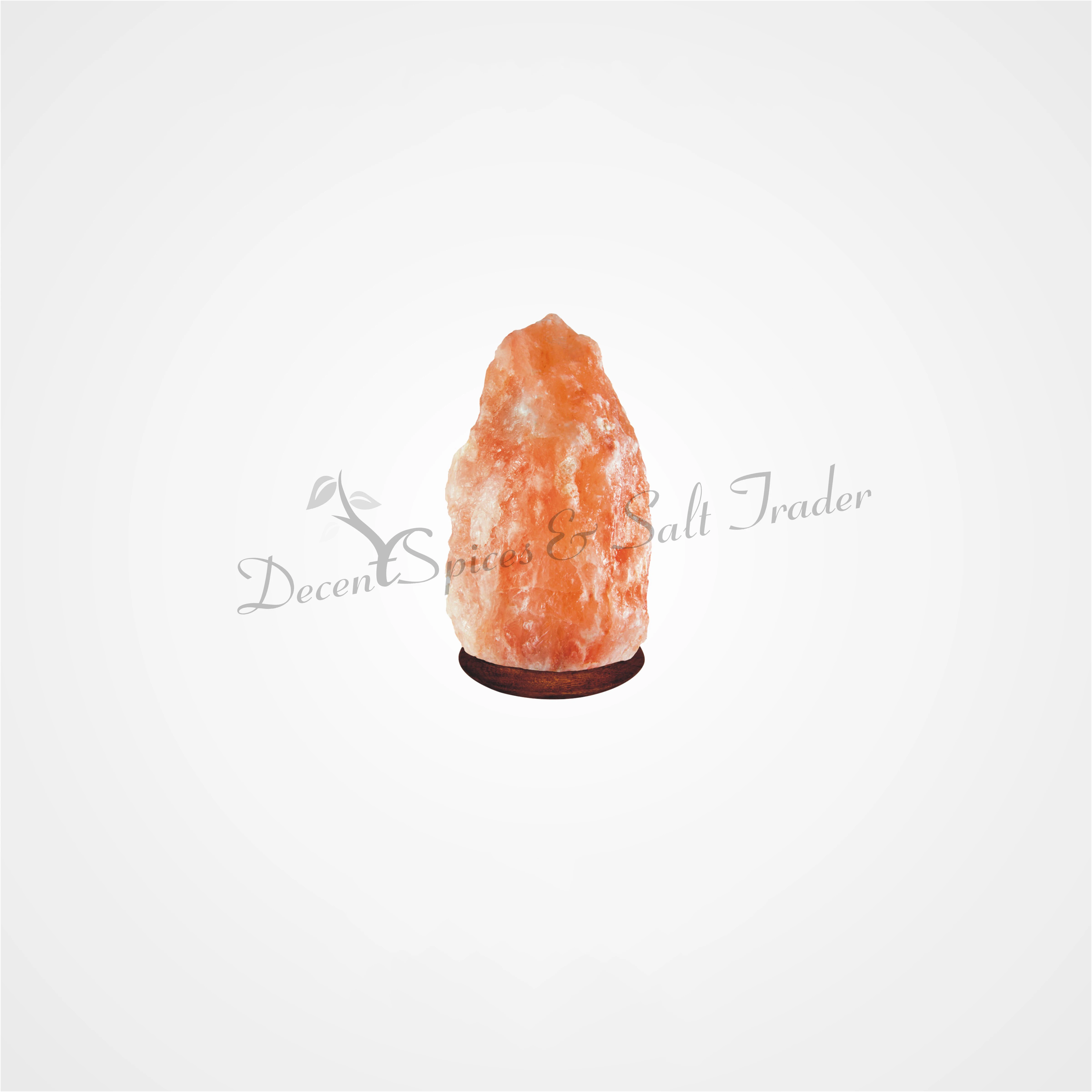 100 Natural Himalayan Pink Salt Lamp Hand Carved Oem Packing