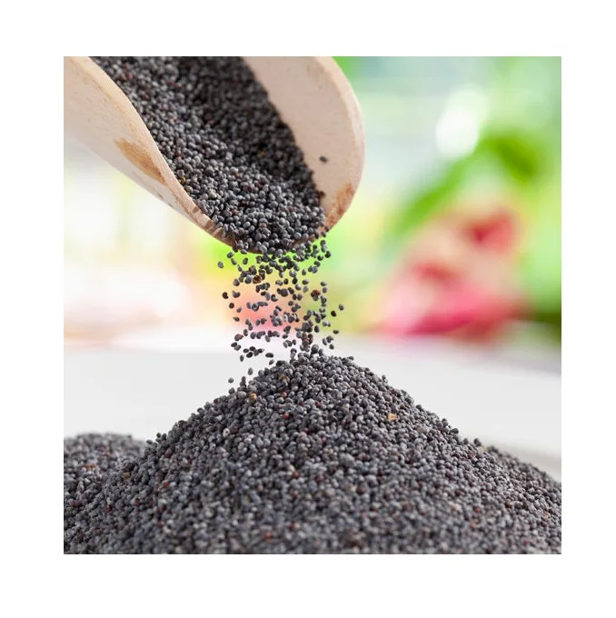 Top Quality Poppy Seeds At Factory Wholesale Prices Buy Blue Poppy