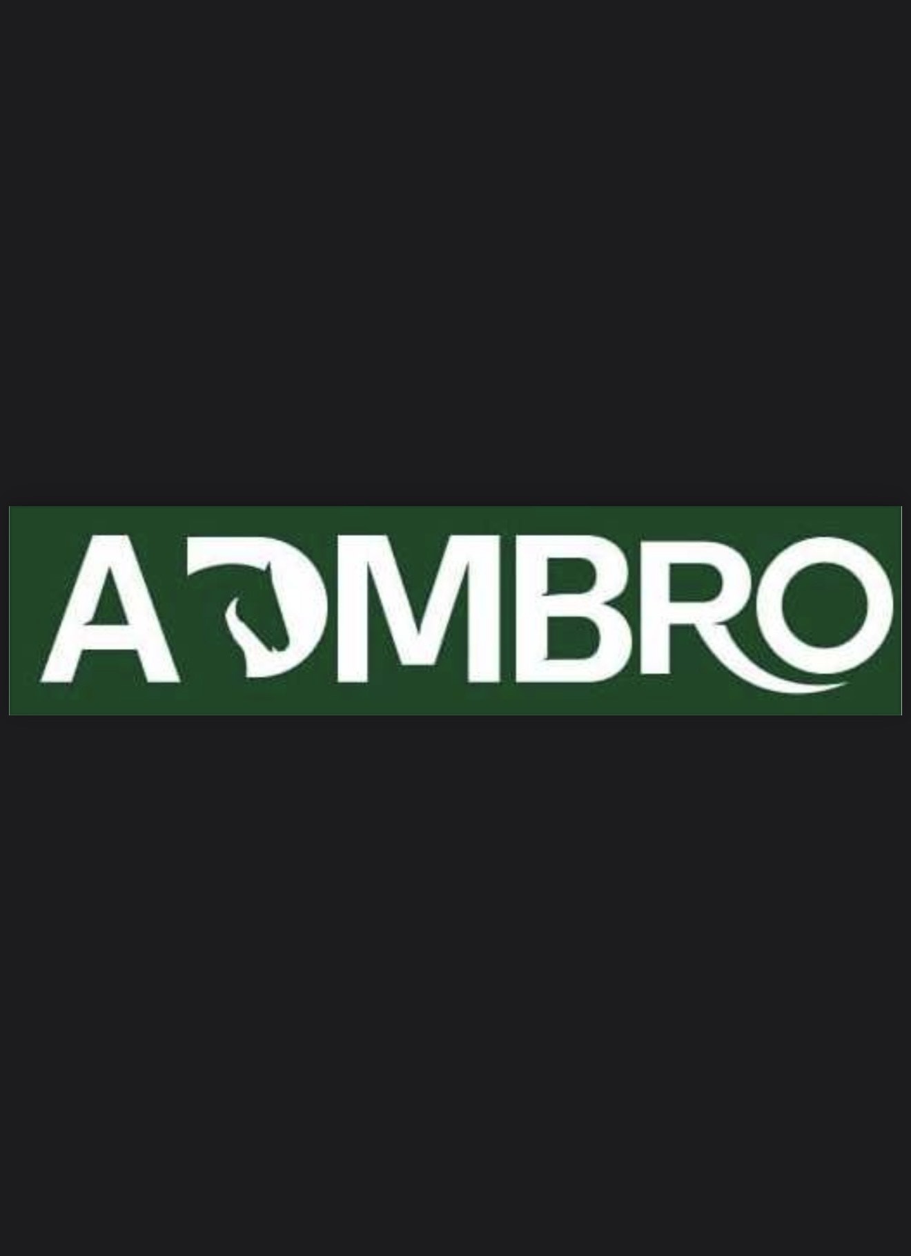 Company Overview - ADMBRO INTERNATIONAL
