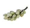 Vert foncé