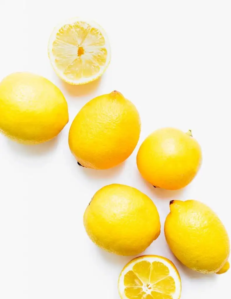 LEMON 5.jpg