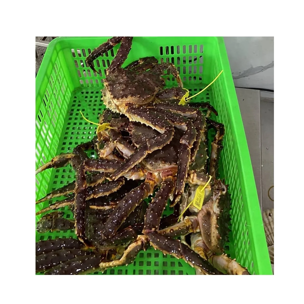 Red Alaskan King Crab/fresh Frozen And Mud Crabs Red King Crabs Soft ...