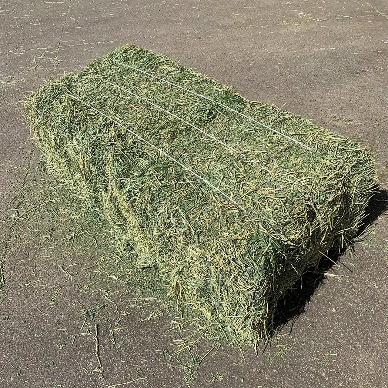 Ready To Supply Alfalfa Hay Bays / Alfafa Pellets / Dehydrated Alfalfa Cubes Timothy Hay Buy