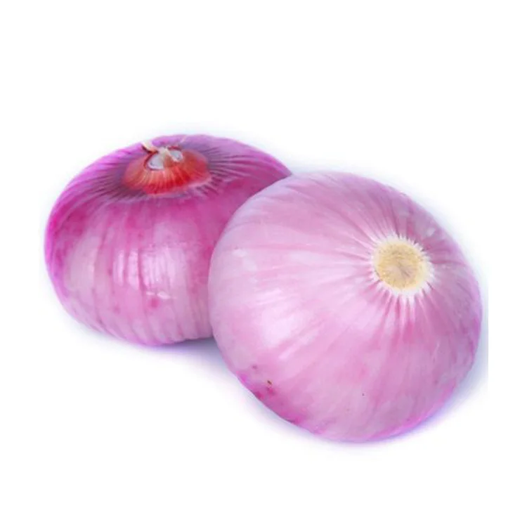 onions2.jpeg