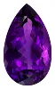 Pourpre