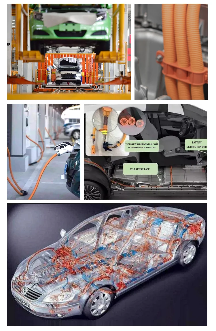 product-1-1 product-1-1