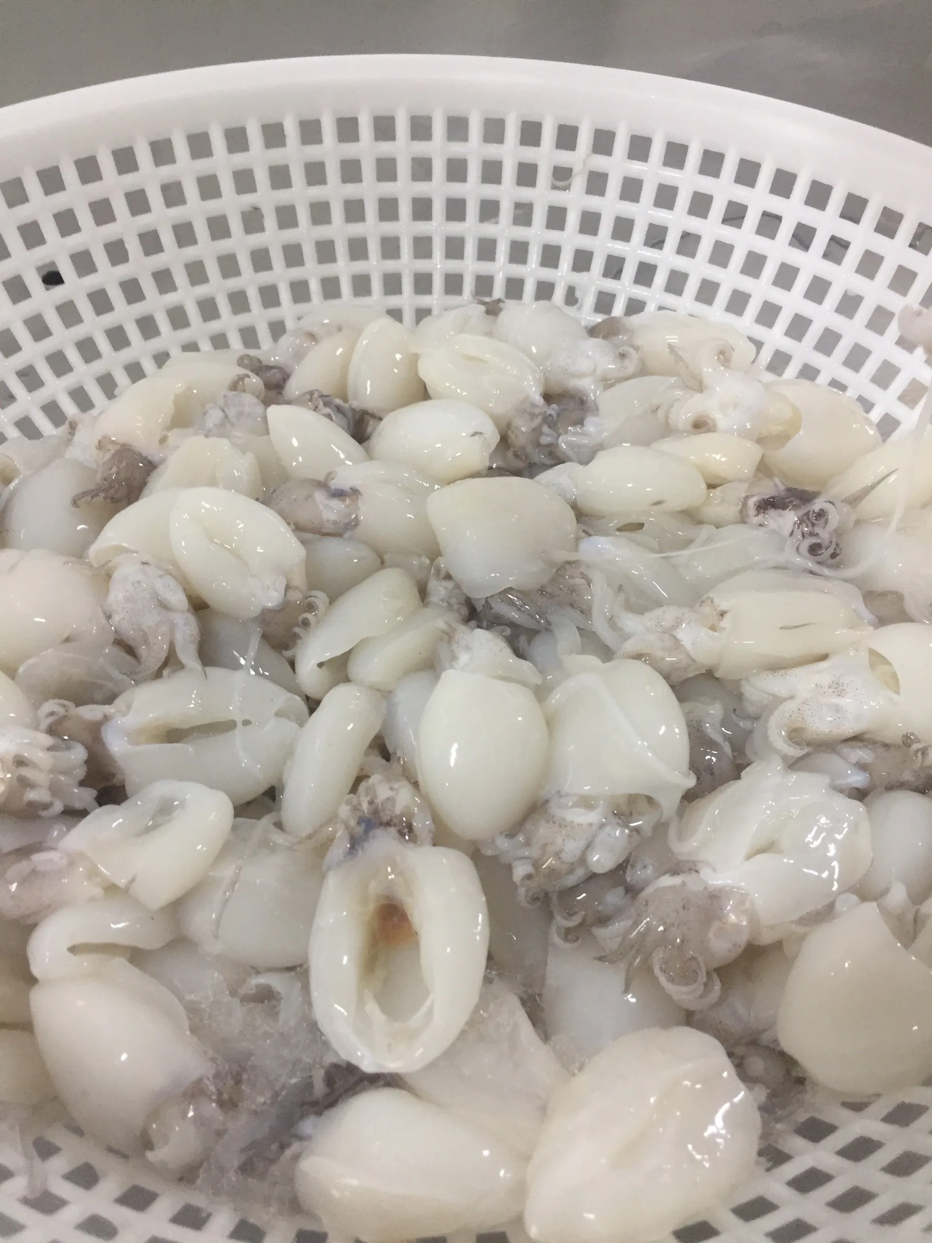 Вакуумная упаковка для замороженных морепродуктов самые продаваемые продукты IQF питательные приготовление каракатиц + 84792840198