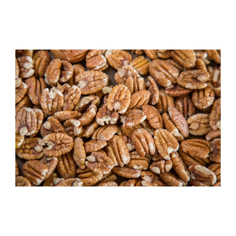 Agricultural Farm Price Pecan Nuts Ready Available/ Raw Pecan/ Shifted