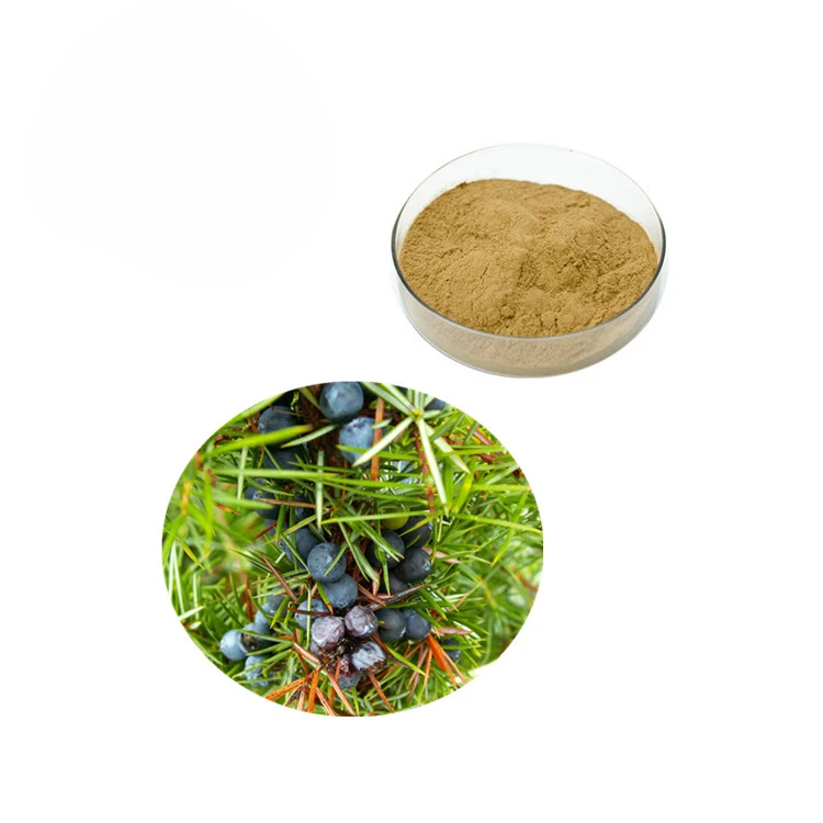 2022 Black Pepper / Black Pepper Spice In Bulk Top Quality Wholesale