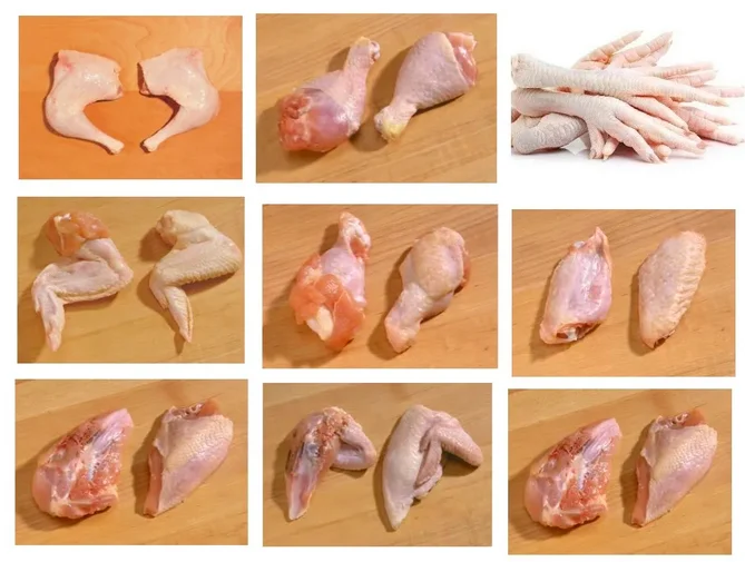 Frozen Chicken Drumstick Frozen Chicken Drumstick Bulk Suppliers Hallal Quality Chicken Wings