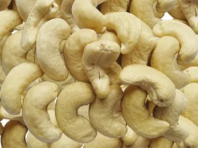 Cashew-Nut- (25).jpg