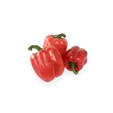 High Grade Organic Fresh Bell Peppers Export Price Vegetables Wholesale High Quality Fresh Organic Vegetables From Top Suppliers