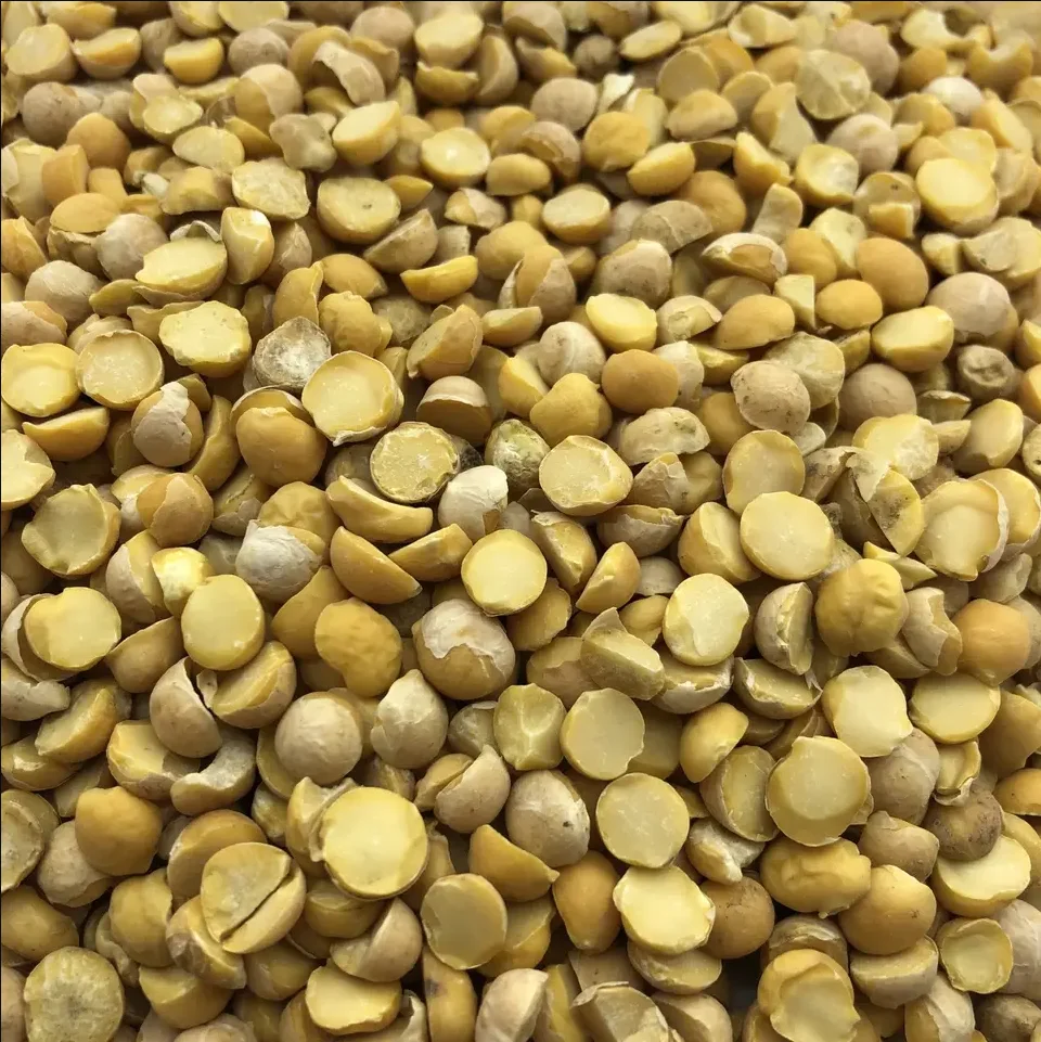 lentil11.png