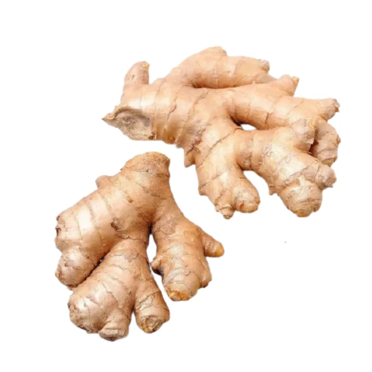 Buy Sun Dried Ginger \ Premium Quality Ginger Hot Sale Buy Onion