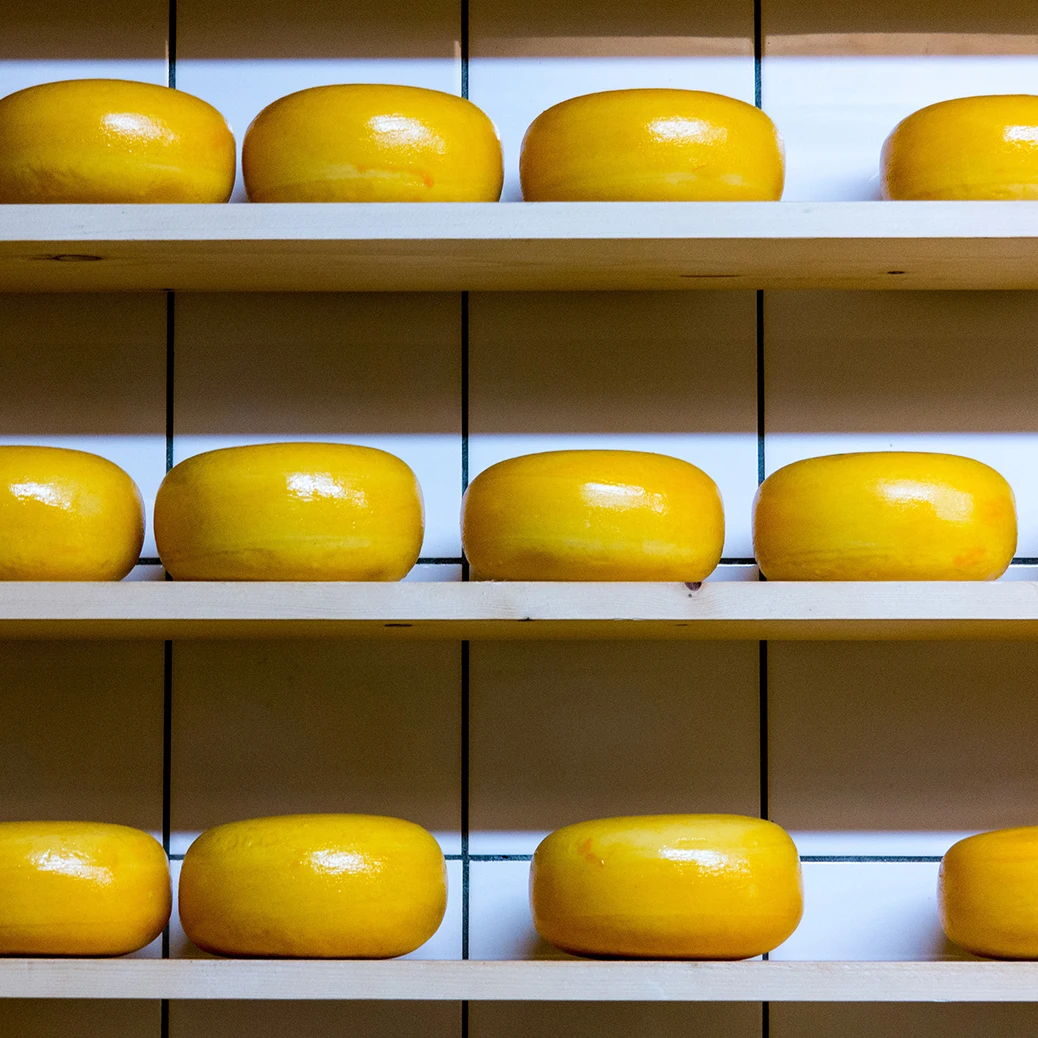 Голландские голландские товары Премиум-Качества Emmental cheese Holland оптом