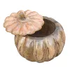 As Shown