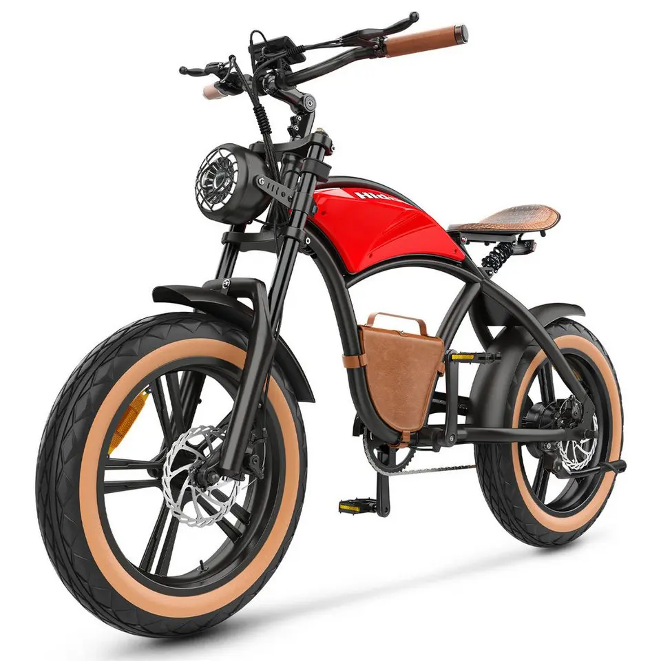 DOTMALL B10 750W 20 Inch Fat Electric Mountain Bike 48V 13Ah Battery 20 Zoll Hideoes E-Bike
