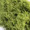 Vert moyen 30g
