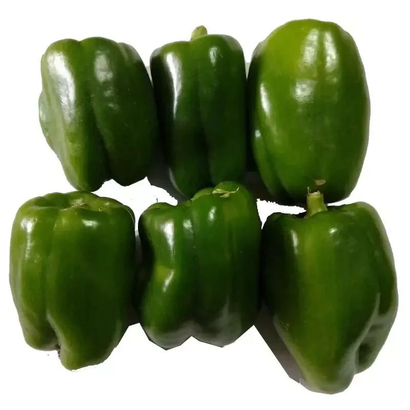 bell pepper 4.jpg