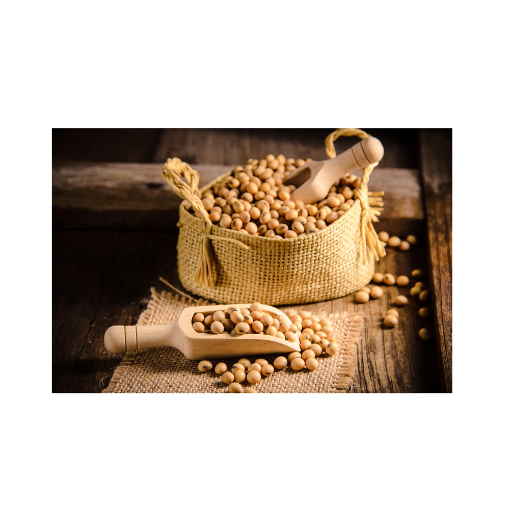 Gmo And Non Gmo Soyabean/soybean For Sale Soybeans Soya Soja Bean
