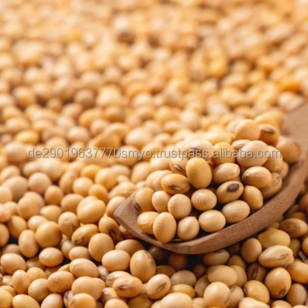 Soy bean Seeds.jpg