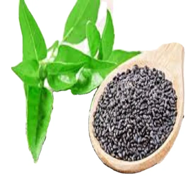 indian basil seeds for sales in Alibaba