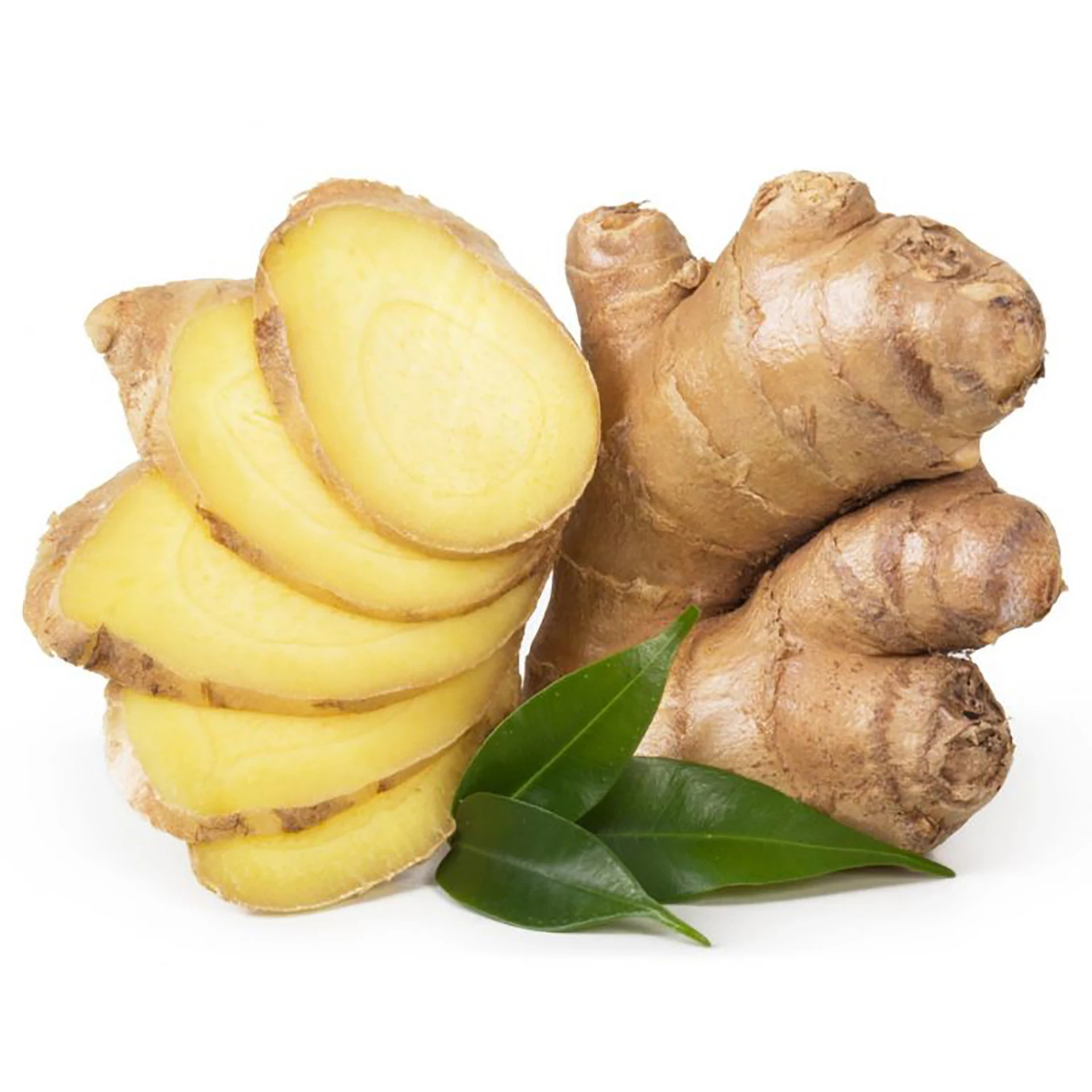 Ginger's. Zingiber officinale. Корень имбиря. Джинджер имбирь. Имбирь корневище.