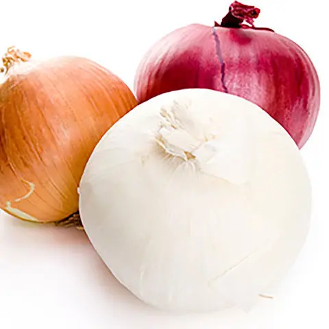 fresh-Onion (1).jpg