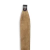 Caqui