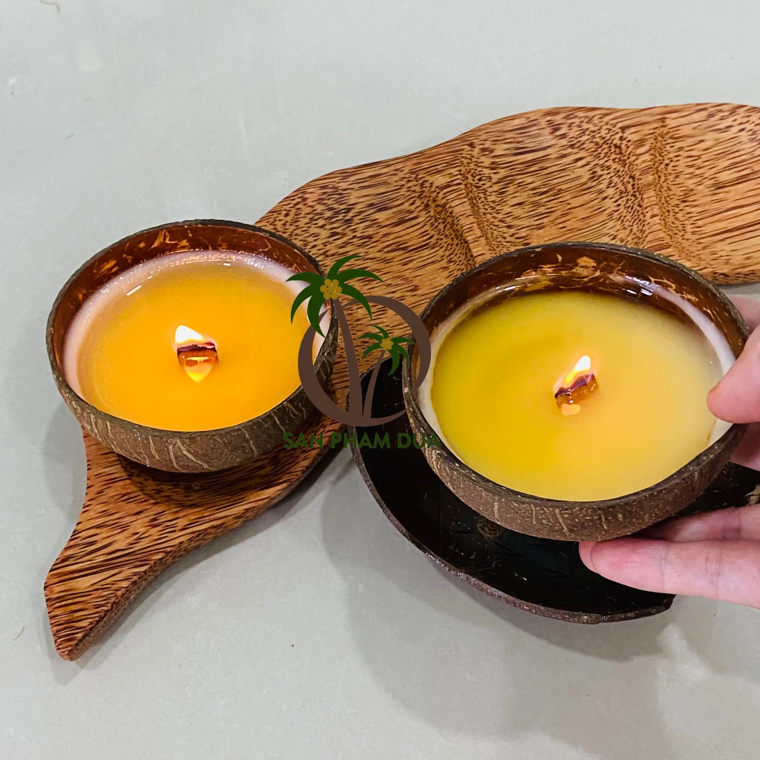 Mosquito Repellent Candle - Handmade Soy  Coconut Wax in Coconut Shell