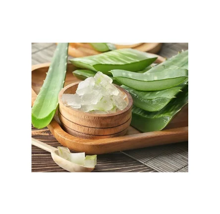 muss man aloe vera gel abwaschen Natürliche Intimwaschlotion mit Aloe-Vera-Gel – Pure Green Cosmetics